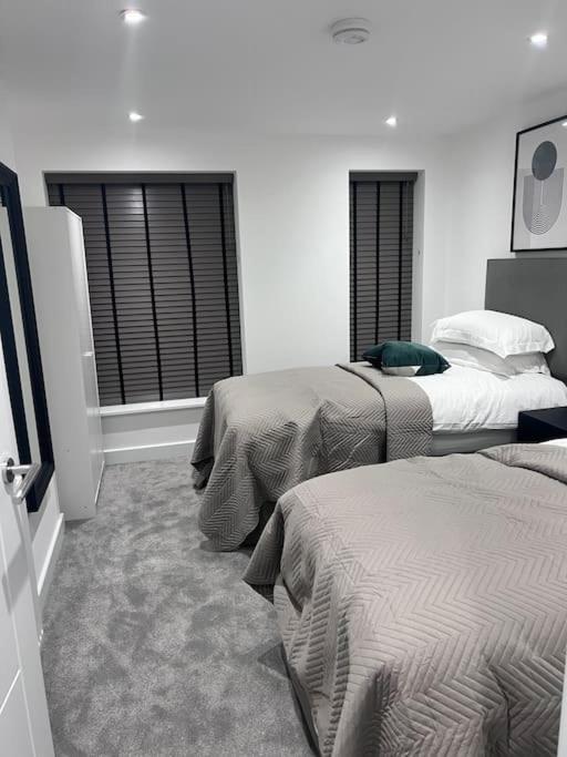 4-Level Luxury 2 Bedroom House Sleeps 6, Rooftop, Harry P & Free Parking Watford  Exteriér fotografie